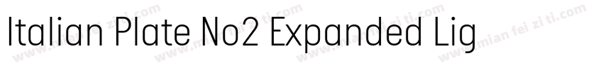 Italian Plate No2 Expanded Light字体转换
